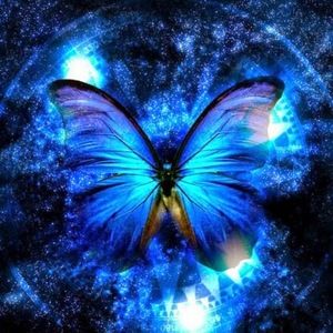 Meet your Posher, Feliz